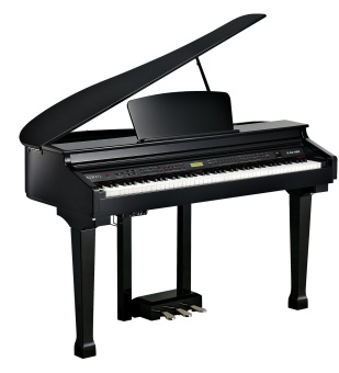 Kurzweil KAG100 EP Цифровой рояль